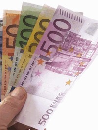 найти работу в лесной сфере